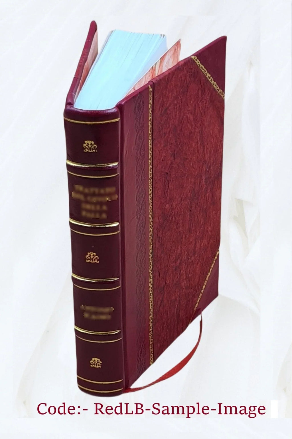 Scipionis Claramontii Caesenatis De sede sublvnari cometarvm opuscula tria, in supplementum Anit-Tychonis cedentia. Sunt autem: I. Consideratio observationum indicarum cometae ulti