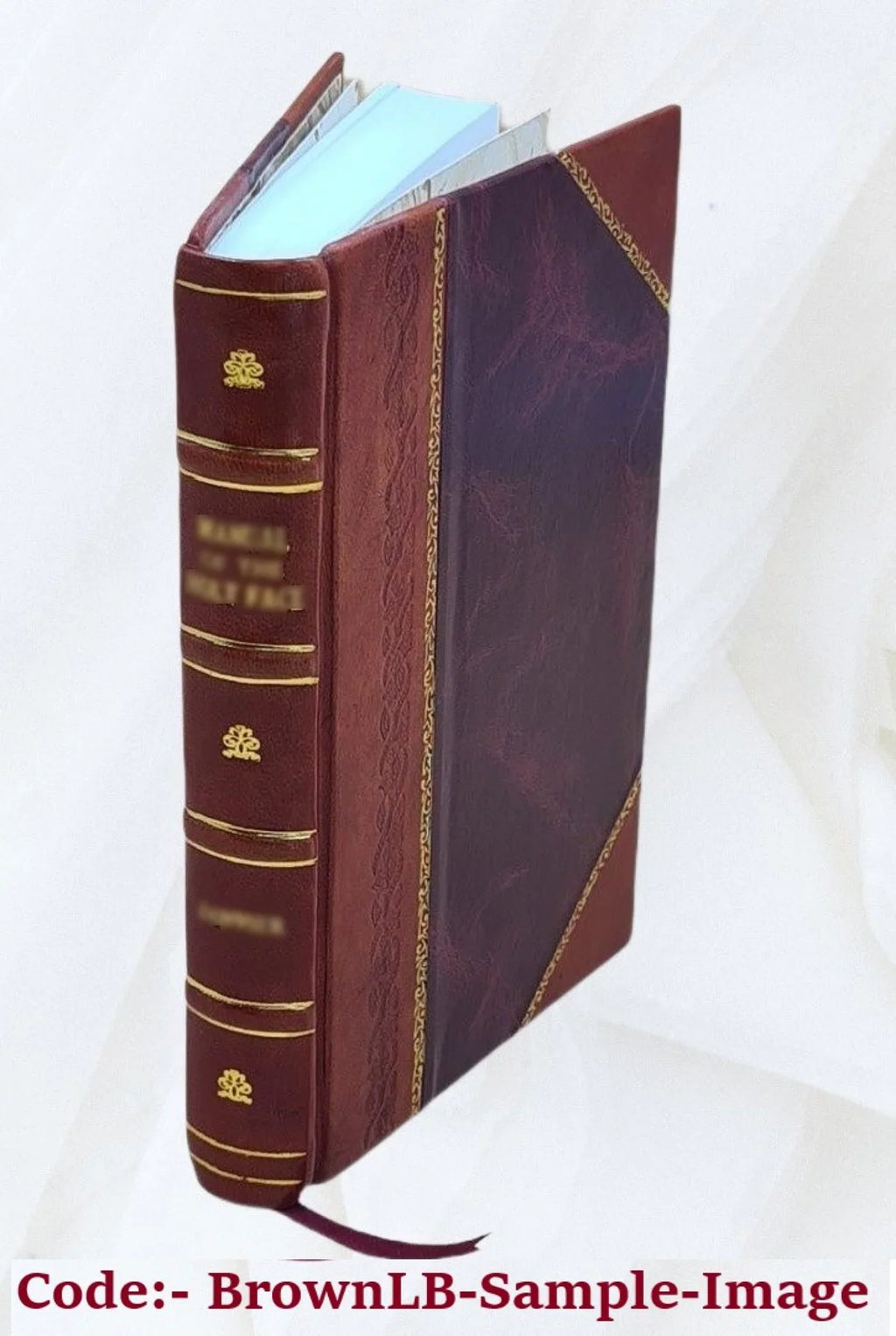 Scipionis Claramontii Caesenatis De sede sublvnari cometarvm opuscula tria, in supplementum Anit-Tychonis cedentia. Sunt autem: I. Consideratio observationum indicarum cometae ulti